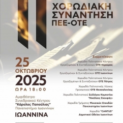 11i-xorwdiaki-synantisi-pee-ote-iwannina-05