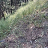 imera-periballontos-2025-polethe_07